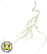 Luftwurzel Small biegbar 50 cm KÜNSTLICHEPFLANZE KUNSTPFLANZE Terrarium /LMI032