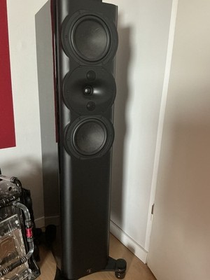 Perlisten R5t Standlautsprecher High-End Audio (Paar)