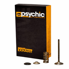 Psychic Exhaust Valve Spring Kit Yamaha Tw200 Ttr230 Xt250 Xt200 Xt225 82-24 Psychic Exhaust Valve Spring Kit Yamaha Tw200 Ttr230 Xt250 Xt200 Xt225 82-24