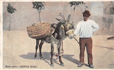 POSTKARTE ITALIEN GENUA MILCHVERKÄUFER MIT ESEL