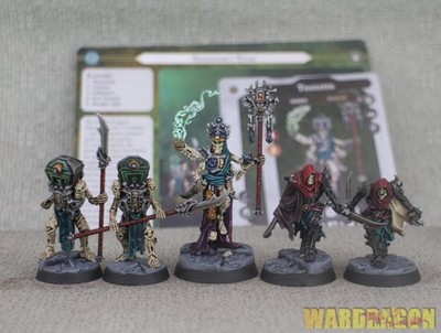 Warhammer Underworld WDS painted Thanatek's Tithe e33