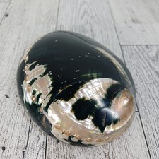 Charmant of Beverly Hills Belt Buckle Ocean Sea Clam Shell Mother of Pearl