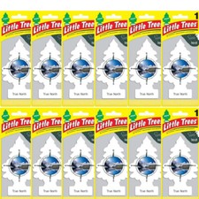 Little Trees True North Car  Home Hanging Air Fresheners, Pack of 12
