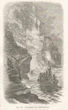 Einsammeln der Eiderdaunen