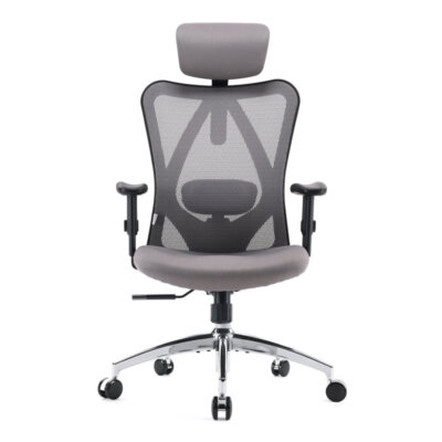 Ashendon Ergo Mesh Office Chair with Adjustable Lumbar Support and Padded Armres