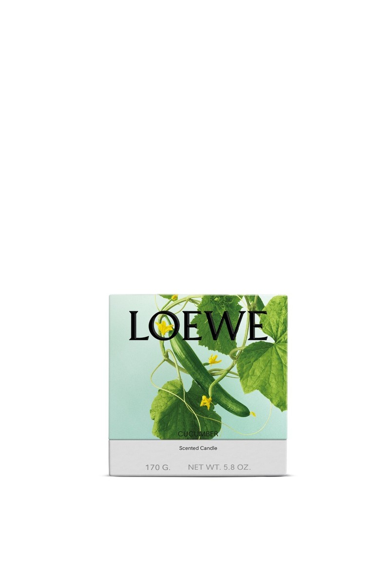【希少】新品LOEWE Scented Candle Cucumber 170g LOEWE Cucumber Candle - Small 170g (New + Sealed) | eBay