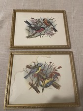 Birds Prints Framed X2 Vintage Vortigern gold frames cottagecore decor