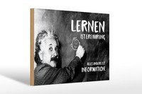 Holzschild Zitat 20X30 Cm Einstein Tafel Lernen Ist Erfahrung Deko Schild