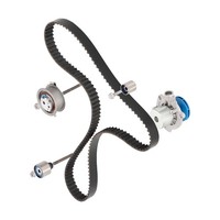 SKF Wasserpumpe + Zahnriemensatz Mit Dichtungen FüR VW Jetta IV Seat Alhambra