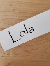 Lola pet name Sticker Vinyl Decals 10" (2) PAIR black - Dog Cat Pet Puppy FAST