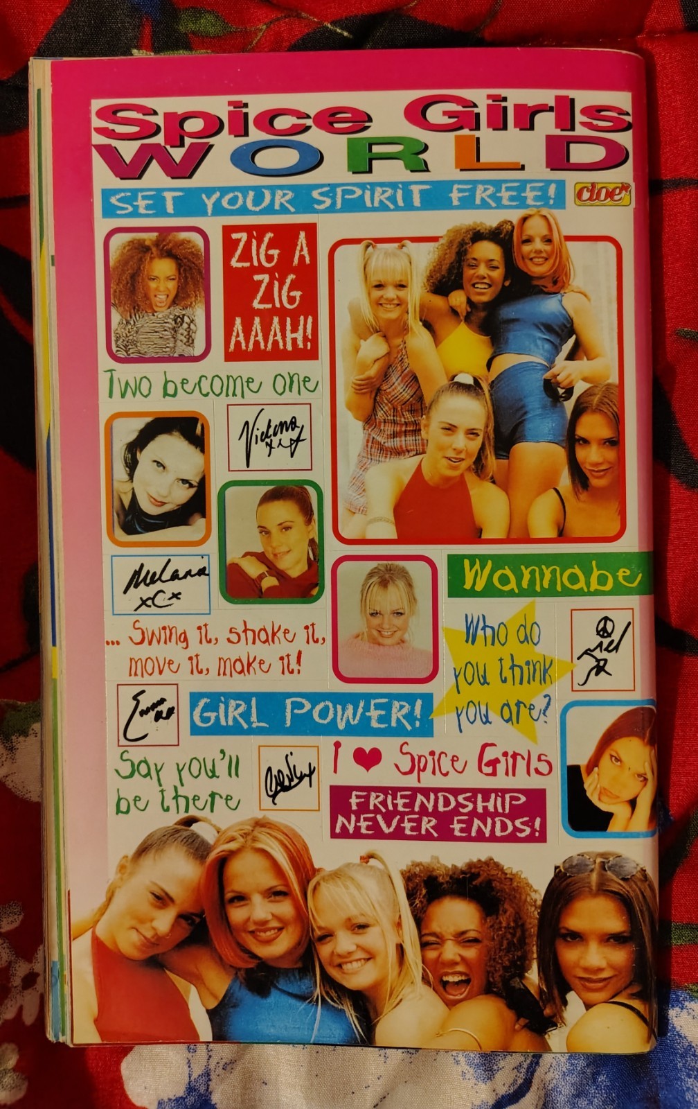 Foto 2 di 3