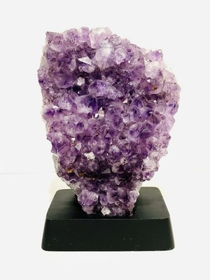 Large 10 lb. 8'' Brazilian Natural Purple Amethyst Cluster Specimen On Wood Base