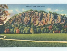 Linen NATURE SCENE New Haven Connecticut CT o/19 AD6553