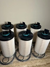 PACK OF 12 FS20081 For Fuel Filter Water Separator NEW