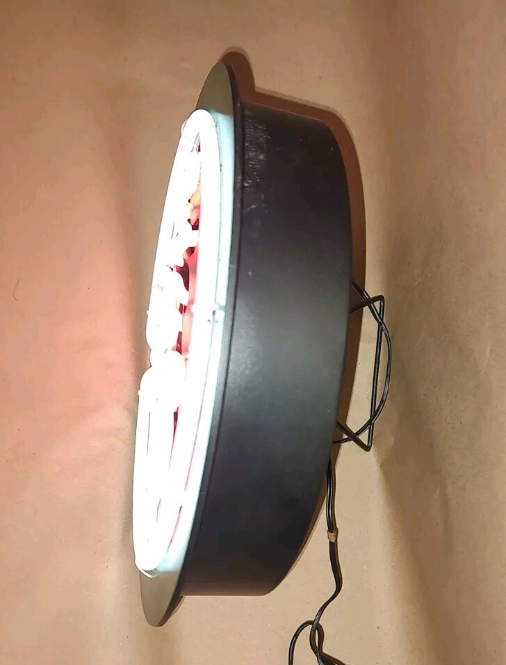 Picture 3 of 7