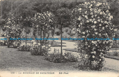 R158864 La Roseraie de Bagatelle. ND. Nr 3199. 1919