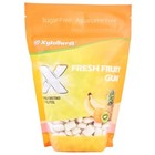 Xyloburst Fruit Aspartame Free Xylitol Gum 500 Count Bag
