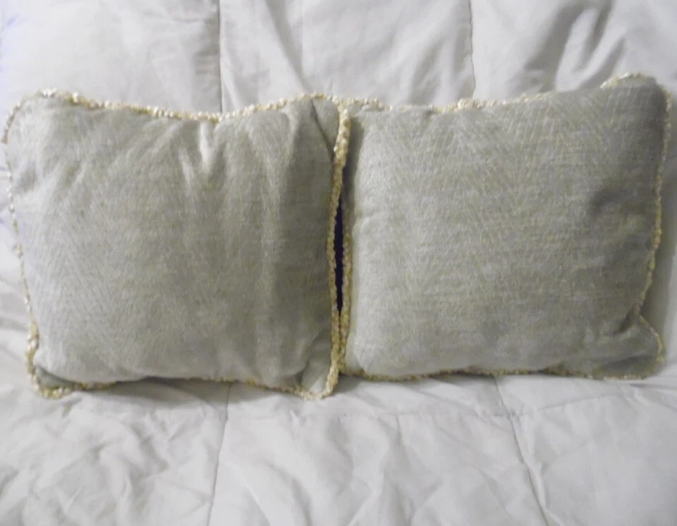 NUEVO Juego de 2 Almohadas Decorativas Glenna Jean Contessa Gris 12x12x4 WO140 Foto 2 de 2