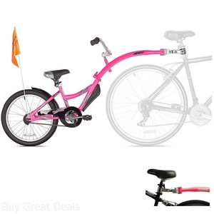 bike with child bike attachment