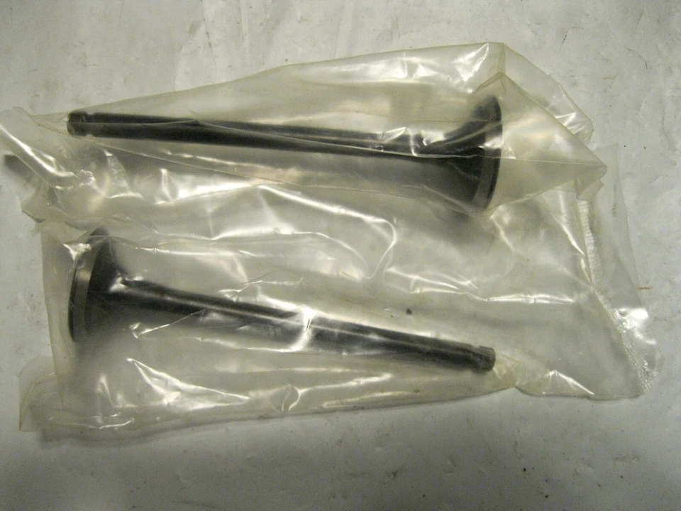 Engine Exhaust Valve-DOHC, 16 Valves SBI 10128A Foto 2 de 3