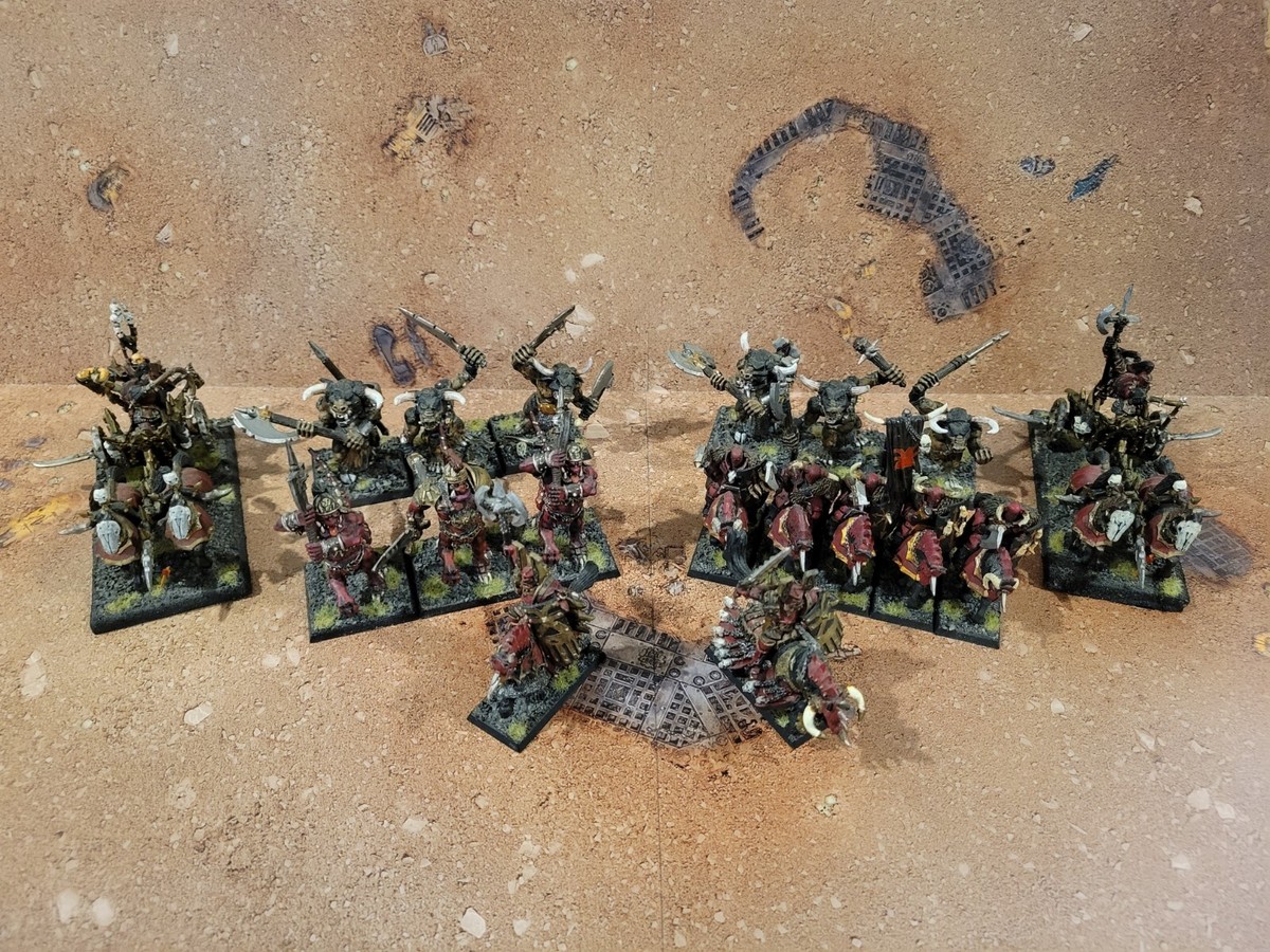 Warhammer Fantasy WARRIORS OF CHAOS Painted Metal Army All
