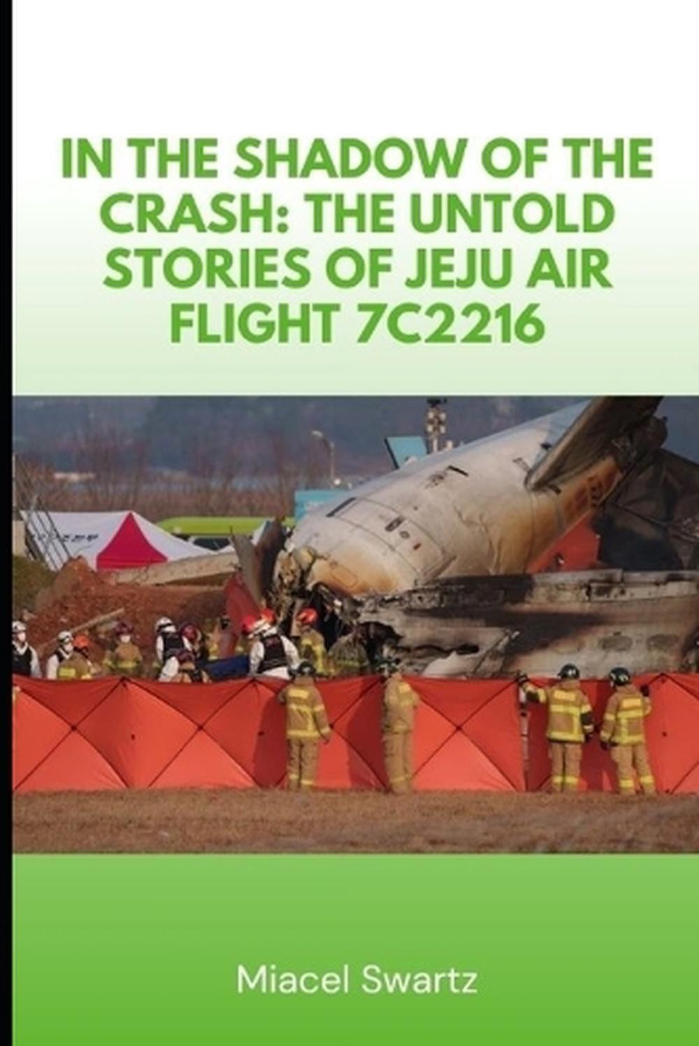 Breaking: Jeju Plane Crash Investigation Reveals Shocking Details 11 In The Shadow Of The Crash: The Untold Stories Of Jeju Air Flight 7C2216 By Miac