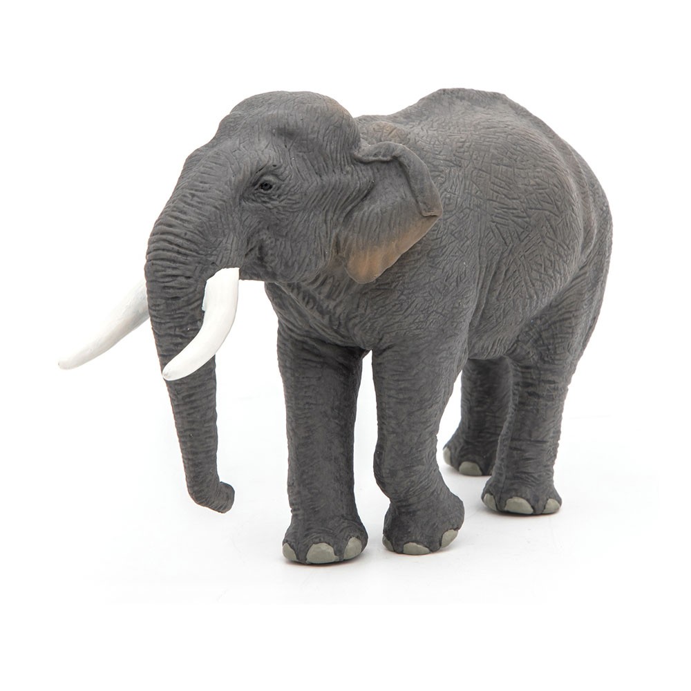 Игрушечная фигурка азиатского слона PAPO Wild Animal Kingdom серый 50131 2490₽