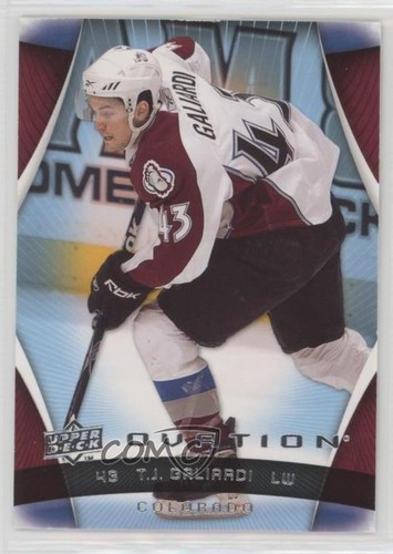 2009 T.J. Galiardi #38