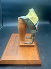 Vintage Taxidermy Green Frog Playing Bongos Plaque Mexico — photo 6