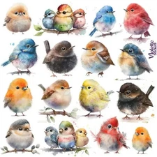 Chubby Birds Stickers - Bird & Nature Sticker Sheet - Scrapbooks, Stationery