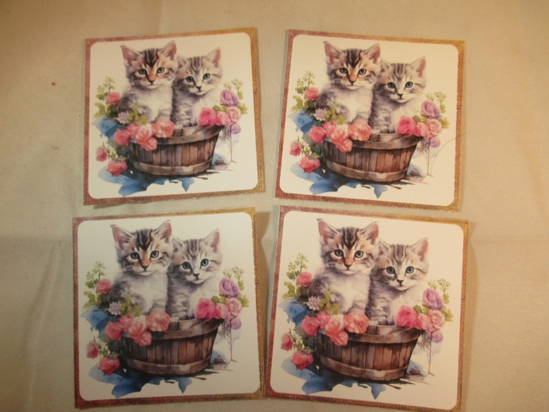 KITTENS MINI GREETING CARDS WITH ENVELOPES