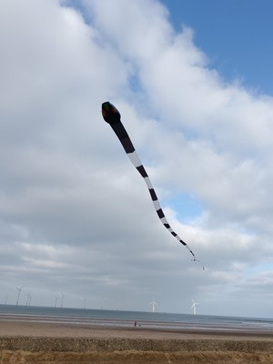 40ft 3d Snake Kite