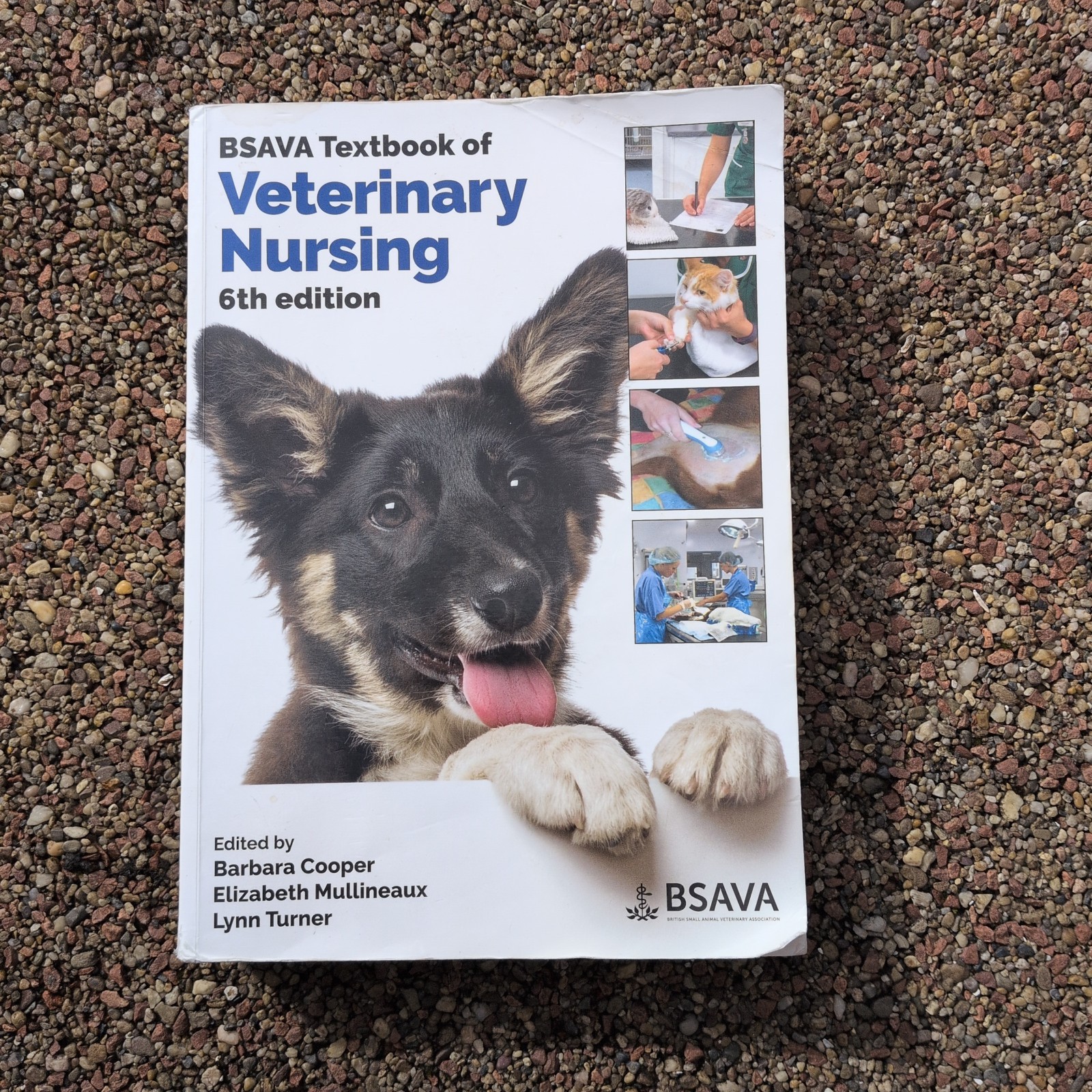 Bsava British Small Animal Veterinary Association Ser.: BSAVA Textbook of...