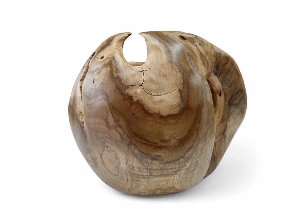 Holz Übertopf Wurzelholz Blumentopf 30cm Teak Schale Orchideen Topf Dekoration - Bild 4 von 4