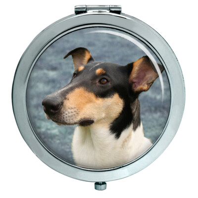 Smooth Collie Kompaktspiegel