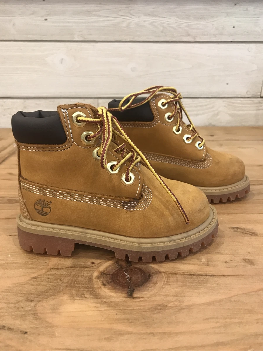 Timberland 6