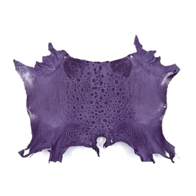 Bufo Marinus Cane Toad Skin Taxidermy Dyed Leather Glossy Amethyst