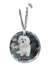 Bologneser, Bichon Bolognese - Crystal Ball With Photo, Little IN Crystal, Pe