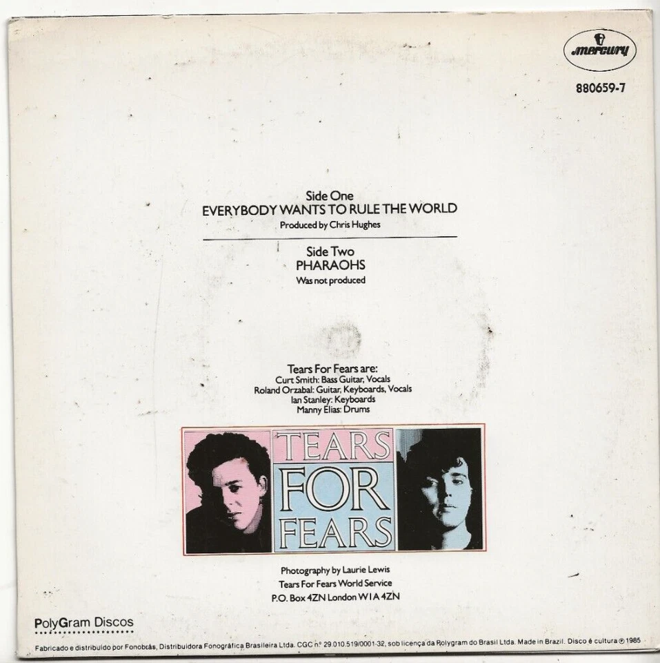TEARS FOR FEARS EVERYBODY WANTS TO RULE THE WORLD 33RPM SINGLE FROM BRAZIL MINT - Image 2 of 2