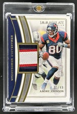 2023 Immaculate Andre Johnson Remarkable Patch Memorabilia #/49