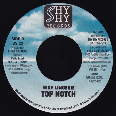 Mad Cobra , Top Notch Hands Up There / Sexy Lingerie Vinyl Single 7inch