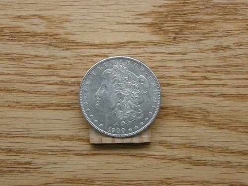 1900-Philadelpha-looks Uncirculated- Silver Morgan Dollar-Free shipping-#111