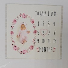 Modern Moments by Gerber Monthly Milestone Blanket  Frame Set - NEW / SEALED
