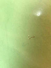 FHF ST Cal. 69-21 Yoke Spring Original Watch Part / T728