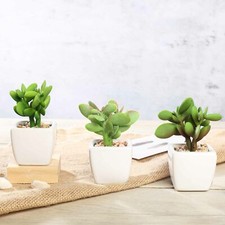 Green 3 Assorted 3" Faux Small Succulent Plants Pots Wedding Centerpieces