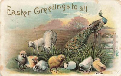 c1910 Peacock Chicks Sheep Eggshell Hatched Scene Easter P304