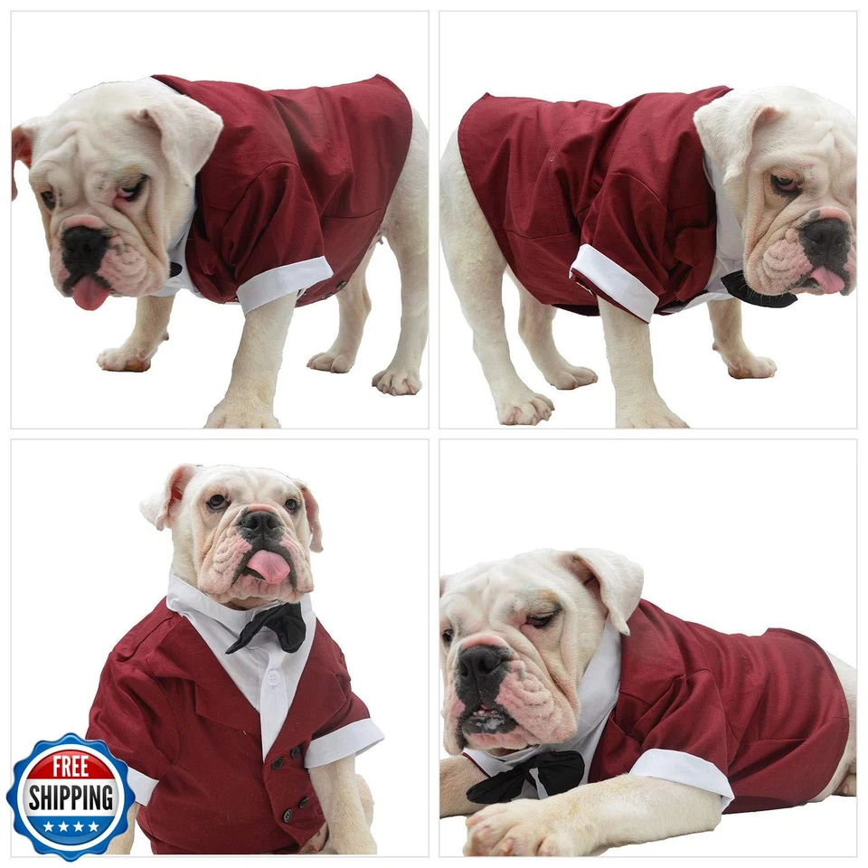 Disfraz de Bulldog Lovelonglong Traje de Perro Esmoquin Formal con Pajarita Negra Boda Foto 3 de 4