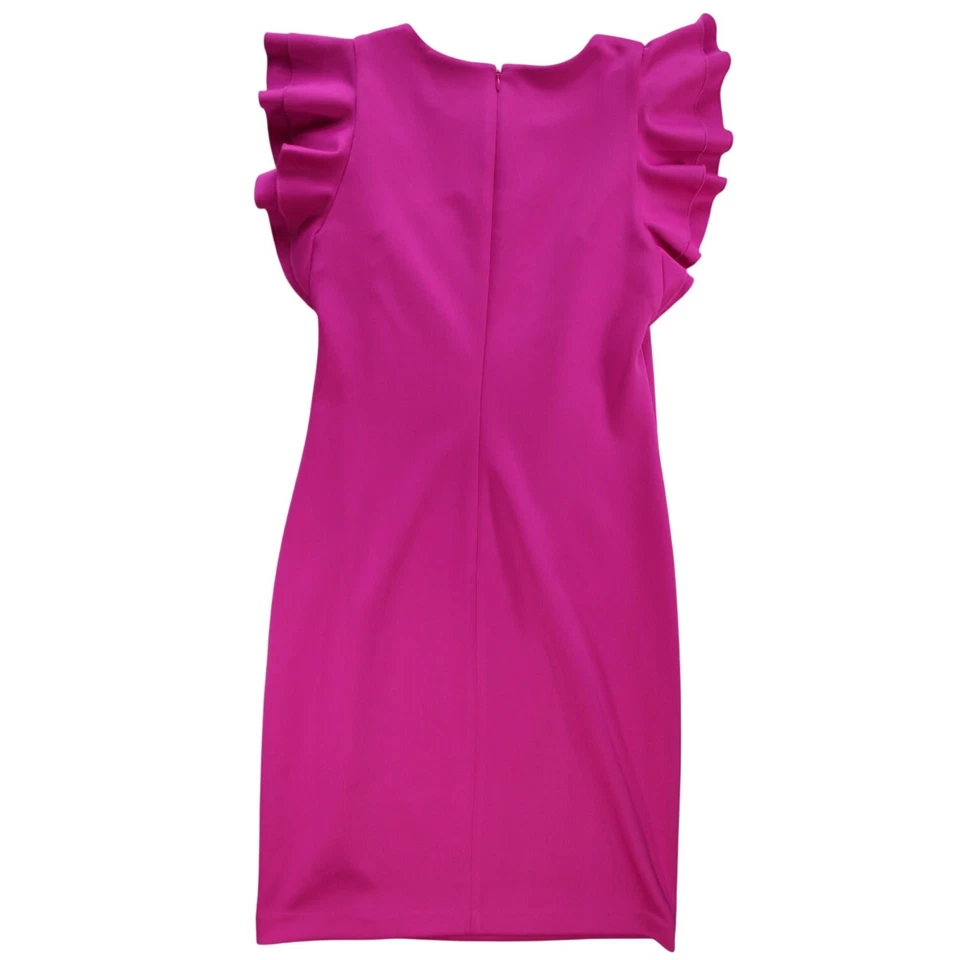 Andrew Marc 女式粉色荷叶袖及膝连衣裙 8 码全新带标签 Kohl’s 79 美元 — 第 2/4 张图片