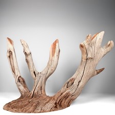 Large 23.5" Manzanita Driftwood Perfect for Aquascaping, Reptiles, Home Decor