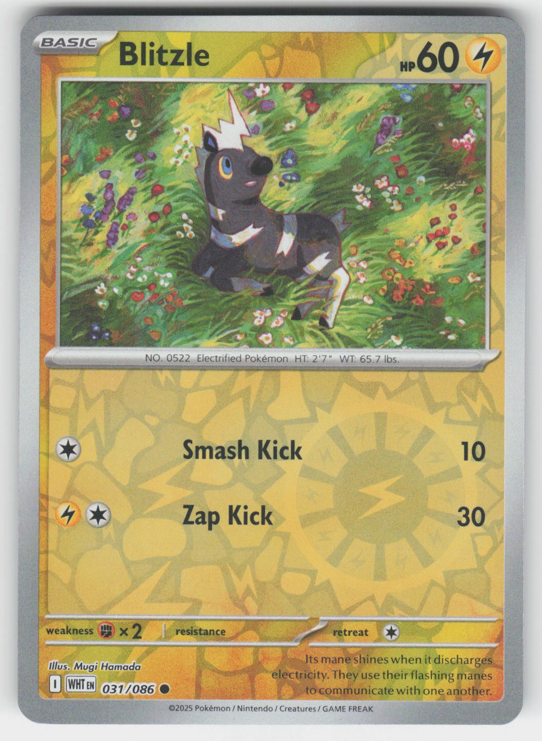 Blitzle Reverse Holo SV: White Flare Common 031/086 NM
